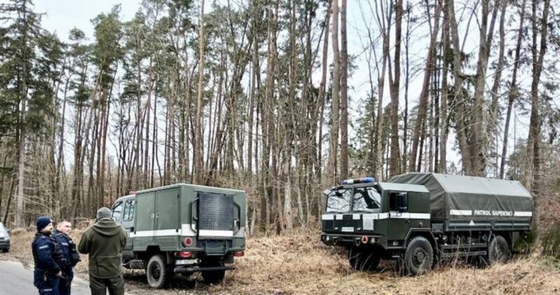 Nietypowe odkrycie dzików. Saperzy ruszyli do akcji