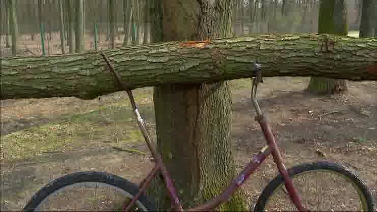 Częściowe zaćmienie Słońca. Będzie widoczne w całej Polsce przez ponad godzinę