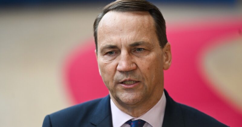 Ekspertka o zachowaniu Radosława Sikorskiego wobec Muska. „Zupełnie inny rodzaj dyplomacji”