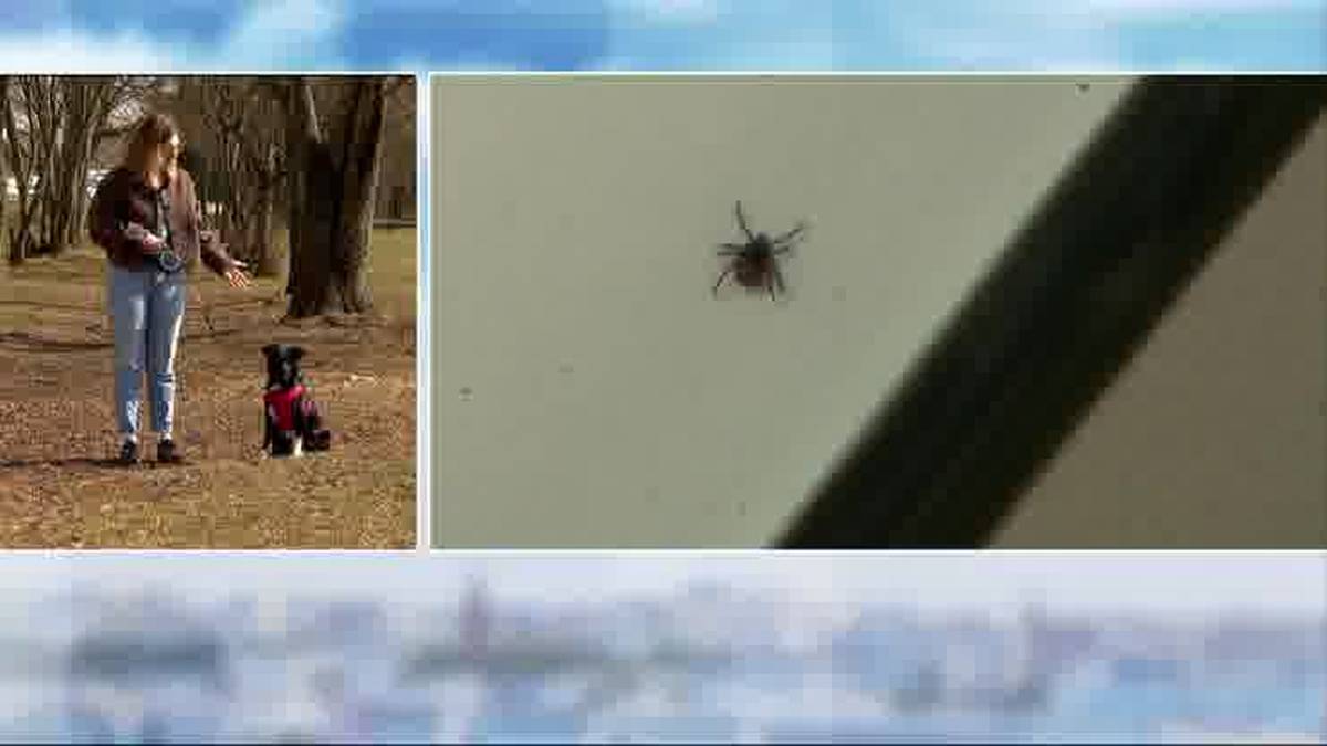 Koniec weekendu ciepły, choć bez słońca. Nowa prognoza