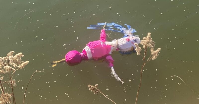 Zaskakujący finał akcji służb. Ratownicy próbowali pomóc… Marzannie