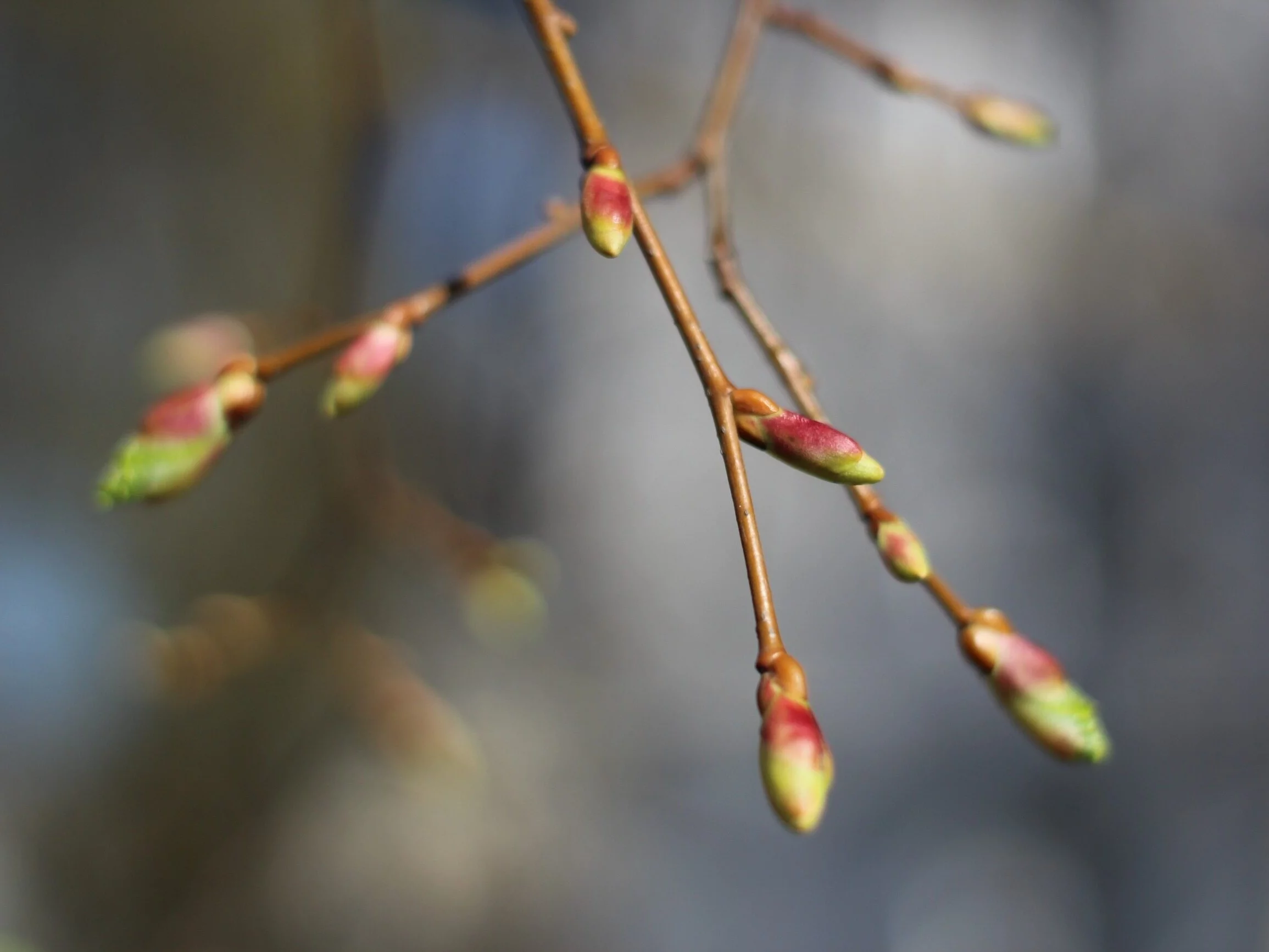 Jaka będzie pogoda w Wielkanoc? Prognozy mocno zaskakują