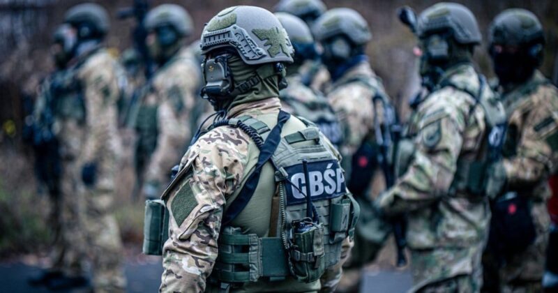 Kradli tylko jeden model samochodów. CBŚP rozbiło grupę złodziei