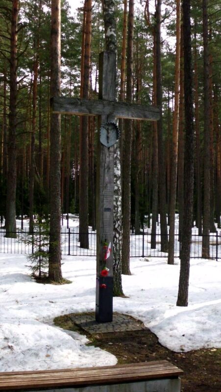 А как насчет 15-й годовщины Смоленской катастрофы? Посол развеивает сомнения