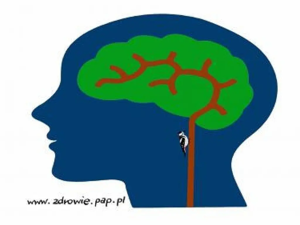 Kompleksowo wspieramy pacjentów po udarze