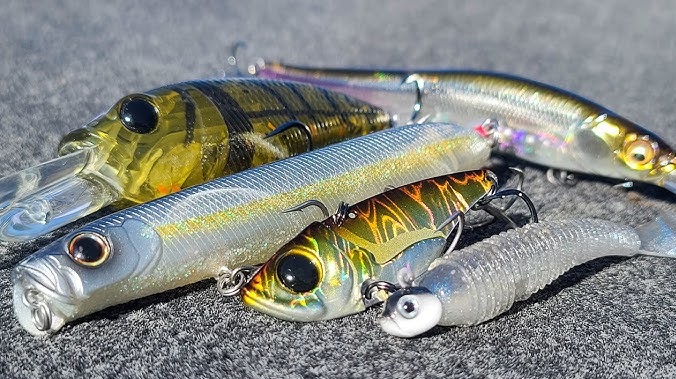 Na co łowić ryby w listopadzie?