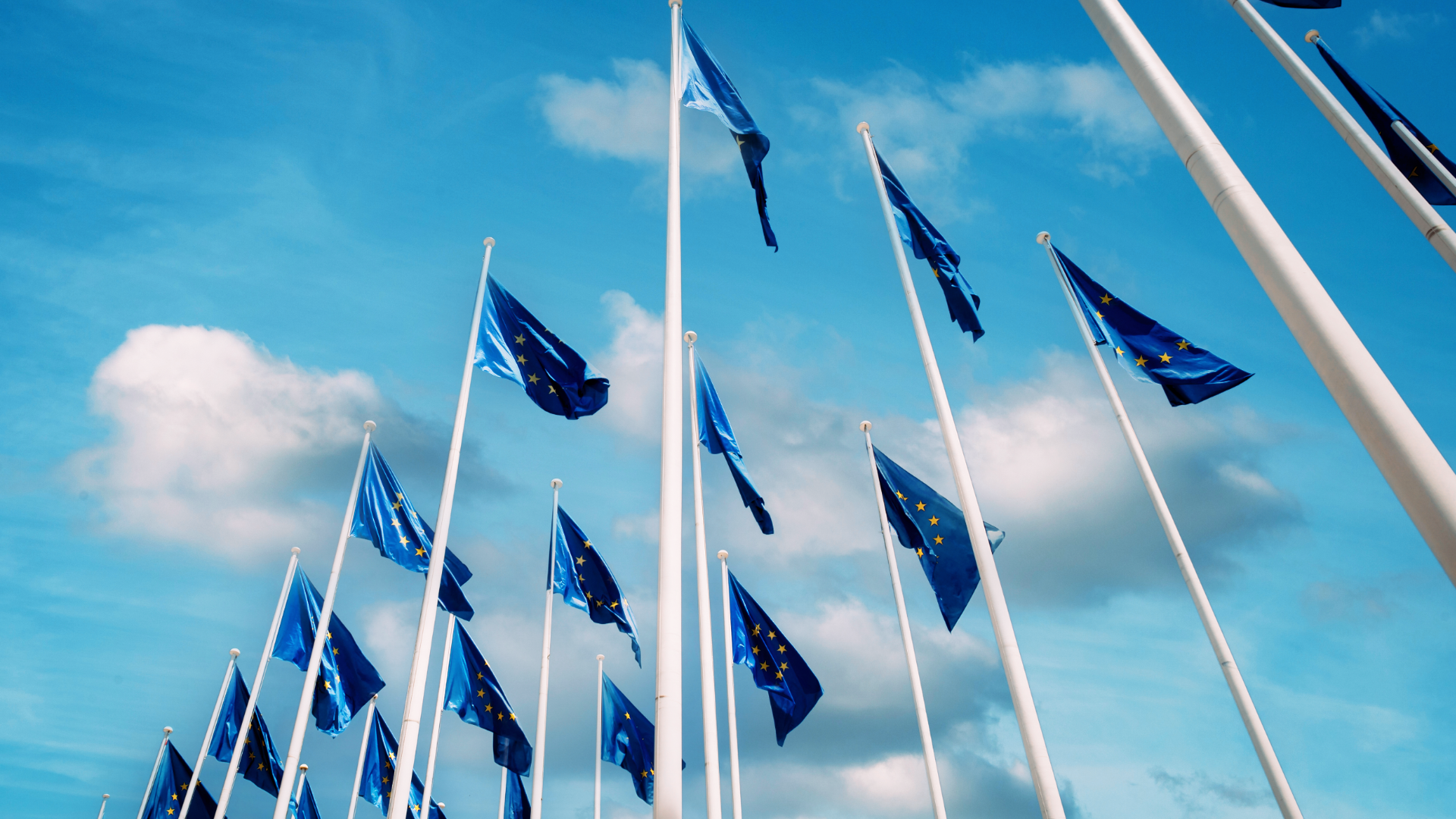 Skandal korupcyjny w Brukseli. Huawei podejrzane o łapówki dla europosłów